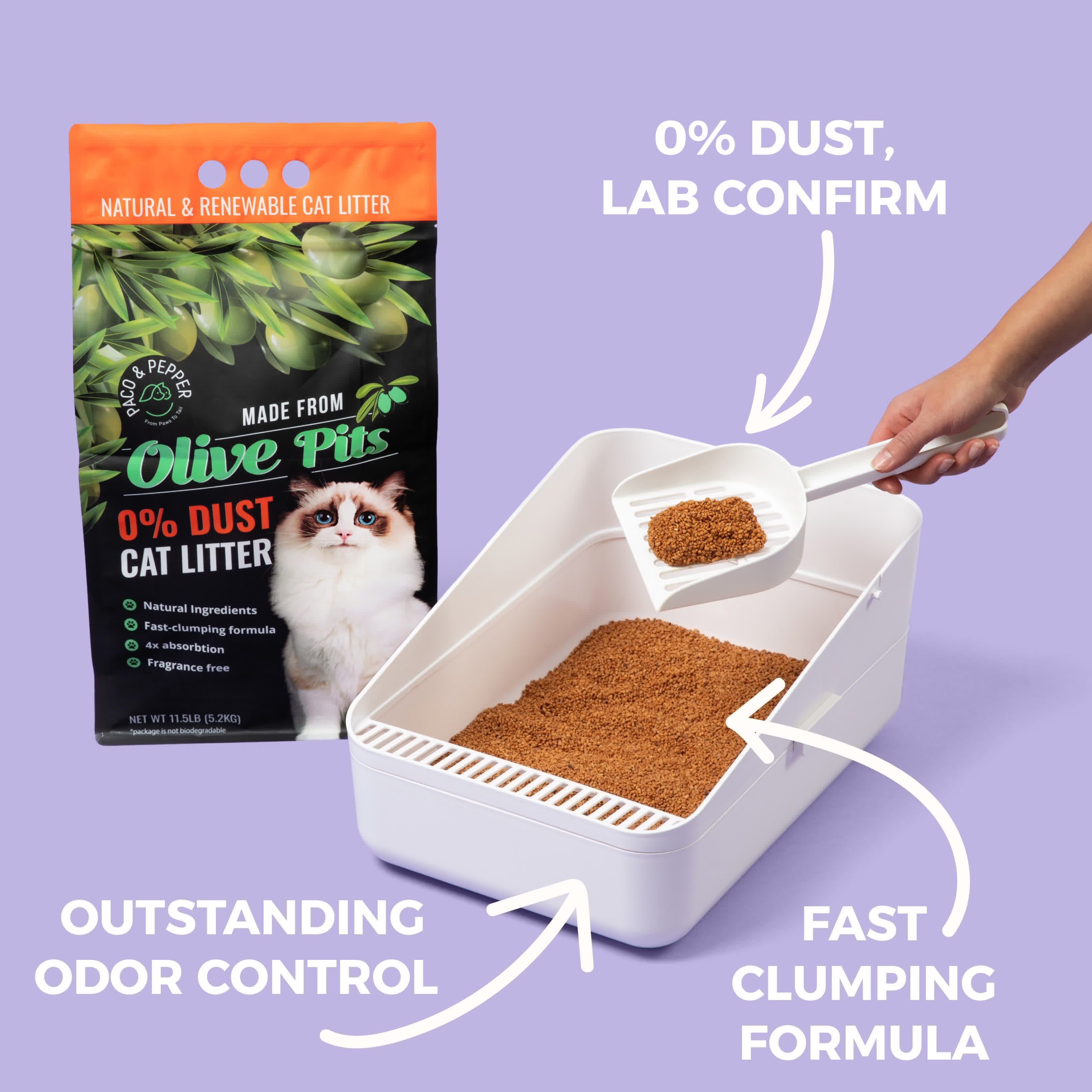cat litter