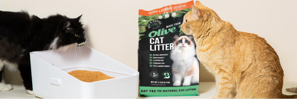 Best Flushable Cat Litter Worlds Best Cat Litter Flushable Paco Pepper